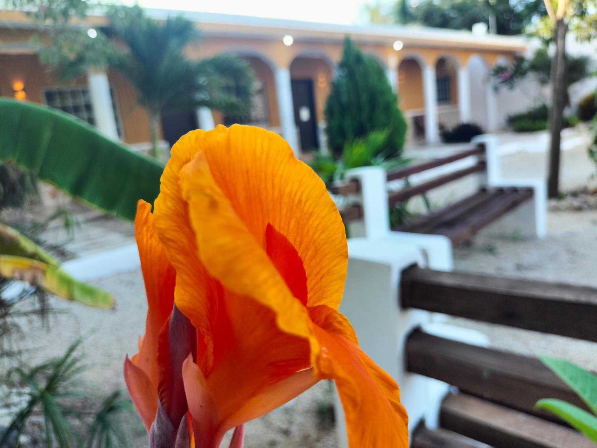 Villa Gabriela Celestun -Hotel & Restaurant Kültér fotó